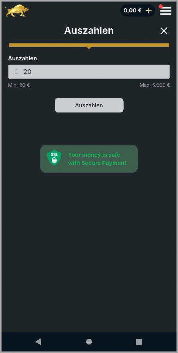Auszahlungsmöglichkeiten im Bullcasino ausführlich erklärt